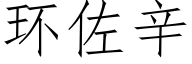 环佐辛 (仿宋矢量字库)