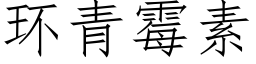 环青霉素 (仿宋矢量字库)