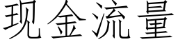 现金流量 (仿宋矢量字库)