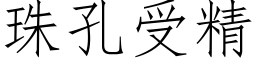 珠孔受精 (仿宋矢量字庫)