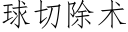 球切除术 (仿宋矢量字库)