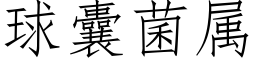 球囊菌属 (仿宋矢量字库)