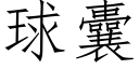 球囊 (仿宋矢量字库)