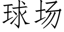 球场 (仿宋矢量字库)