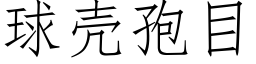 球壳孢目 (仿宋矢量字库)