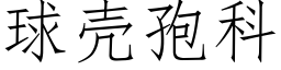 球壳孢科 (仿宋矢量字库)