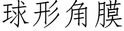 球形角膜 (仿宋矢量字库)