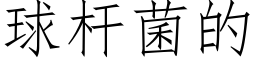 球杆菌的 (仿宋矢量字库)