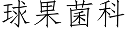 球果菌科 (仿宋矢量字库)