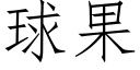 球果 (仿宋矢量字库)