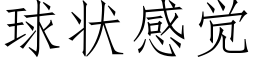 球状感觉 (仿宋矢量字库)