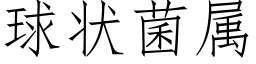 球状菌属 (仿宋矢量字库)