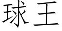 球王 (仿宋矢量字库)