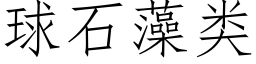 球石藻类 (仿宋矢量字库)