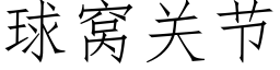 球窝关节 (仿宋矢量字库)