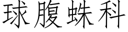 球腹蛛科 (仿宋矢量字库)