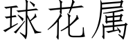 球花属 (仿宋矢量字库)