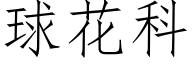 球花科 (仿宋矢量字库)