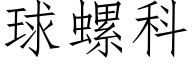 球螺科 (仿宋矢量字库)