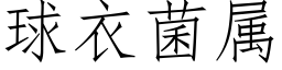 球衣菌属 (仿宋矢量字库)