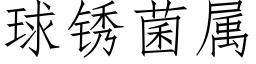 球锈菌属 (仿宋矢量字库)