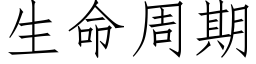 生命周期 (仿宋矢量字库)