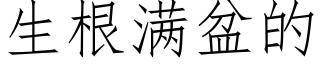 生根滿盆的 (仿宋矢量字庫)