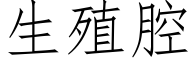 生殖腔 (仿宋矢量字库)