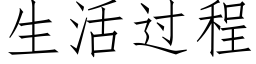 生活過程 (仿宋矢量字庫)