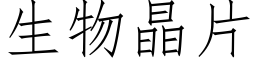 生物晶片 (仿宋矢量字库)