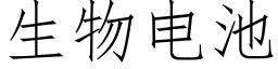 生物电池 (仿宋矢量字库)