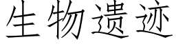 生物遗迹 (仿宋矢量字库)