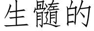 生髓的 (仿宋矢量字库)