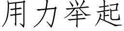 用力舉起 (仿宋矢量字庫)