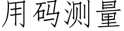 用碼測量 (仿宋矢量字庫)