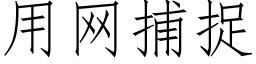 用網捕捉 (仿宋矢量字庫)