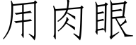 用肉眼 (仿宋矢量字库)