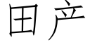 田产 (仿宋矢量字库)