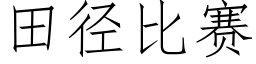 田徑比賽 (仿宋矢量字庫)