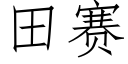 田賽 (仿宋矢量字庫)