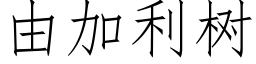 由加利树 (仿宋矢量字库)