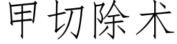 甲切除术 (仿宋矢量字库)