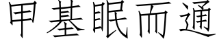 甲基眠而通 (仿宋矢量字庫)