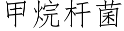 甲烷杆菌 (仿宋矢量字庫)