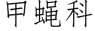 甲蠅科 (仿宋矢量字庫)