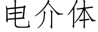 電介體 (仿宋矢量字庫)