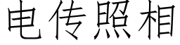 电传照相 (仿宋矢量字库)