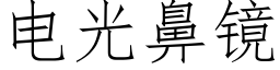 電光鼻鏡 (仿宋矢量字庫)