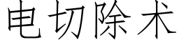 电切除术 (仿宋矢量字库)