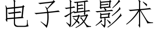 电子摄影术 (仿宋矢量字库)